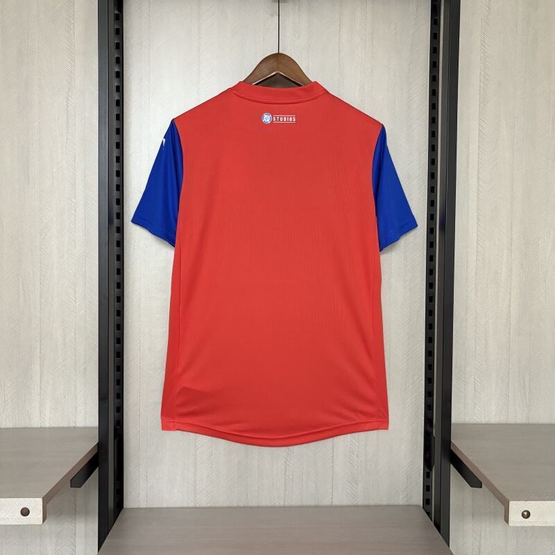 Camisa Bahia 25/26 - Masculina Puma Superman Torcedor