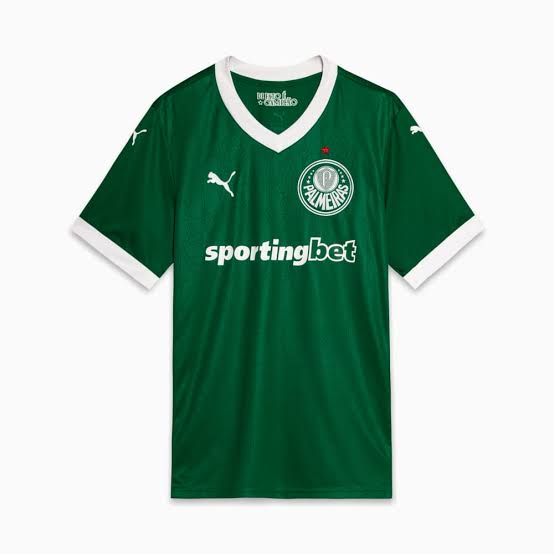 Camisa l Palmeiras 25/26
