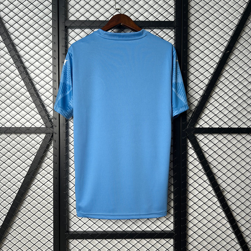 Camisa Palmeiras (Goleiro) 25/26 - Masculina