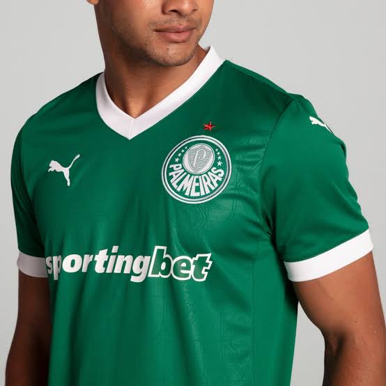 Camisa l Palmeiras 25/26